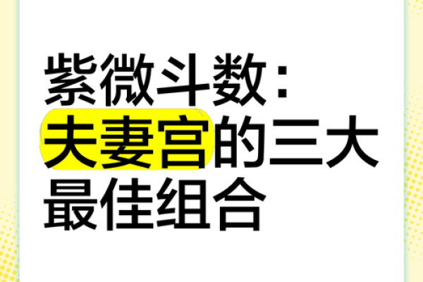 能嫁有钱老公的紫薇斗数女