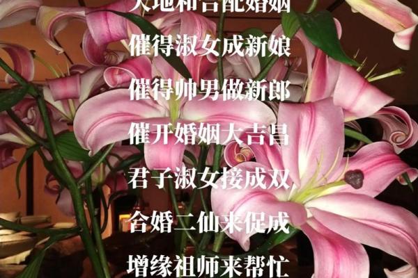 如何利用风水调整来提升桃花运