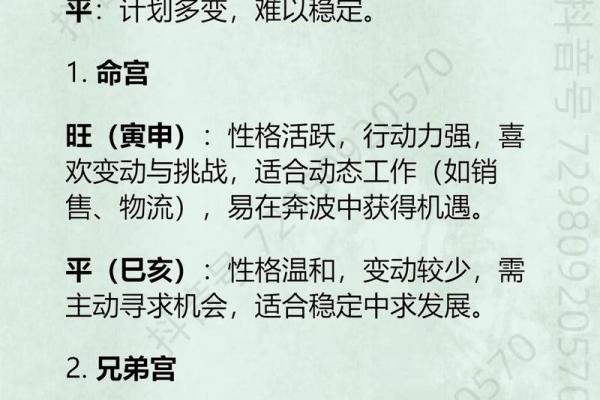 飞星紫微斗数用太岁入卦 紫微斗数太岁指什么？