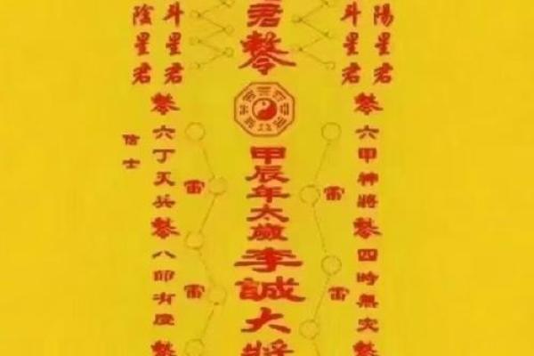飞星紫微斗数用太岁入卦 紫微斗数太岁指什么？