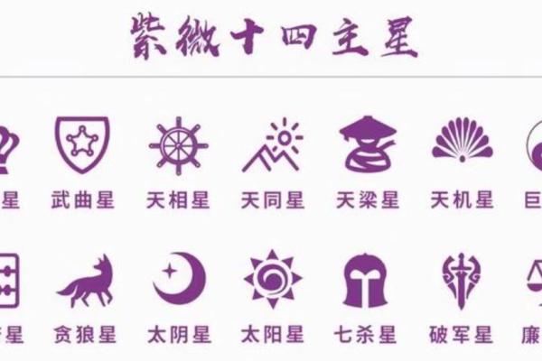 紫薇斗数什么星更好