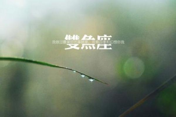 十二星座唯美句子简短