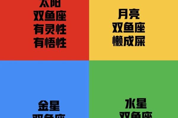 十二星座双鱼座能给安全感吗