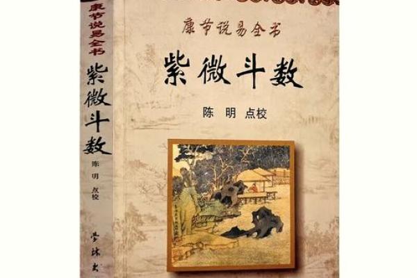 紫微斗数书 紫微斗数书籍下载？