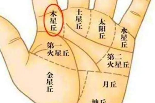 手掌算命