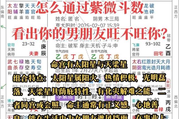 紫薇斗数测试APP