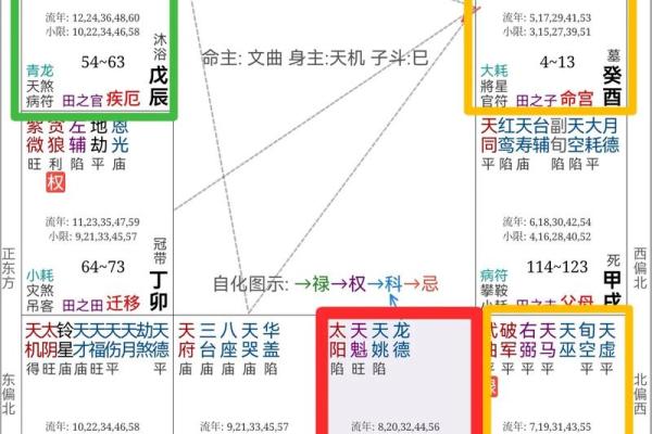 紫微斗数单身 紫微斗数看婚后生活？