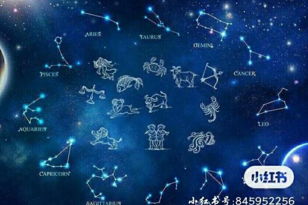 十二星座最适合哪种自行车