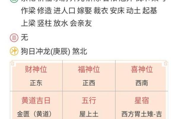 神巴巴生辰八字解析及未来运势简评