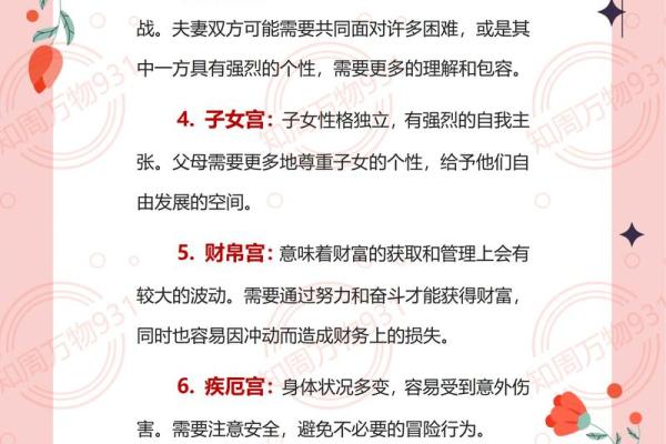 紫薇斗数各宫化