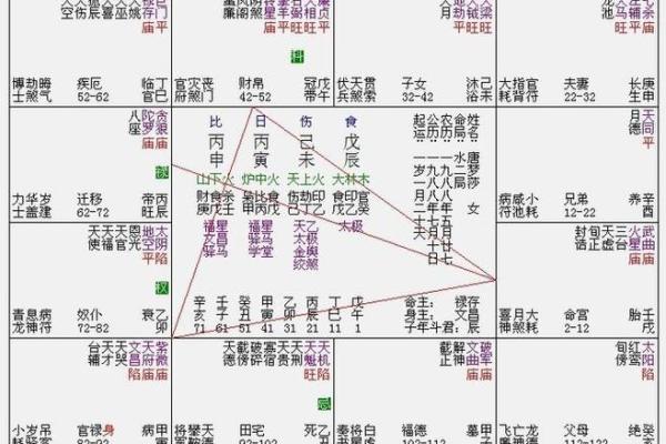 日月并命格,紫微斗数十大贵命命格