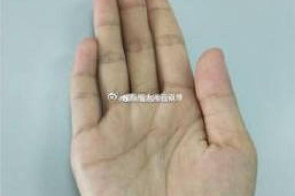 张卫健八字解析：看子女运势如何？