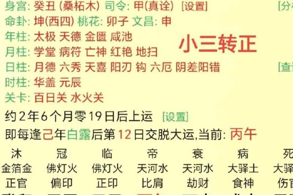 命里就有当小三的八字