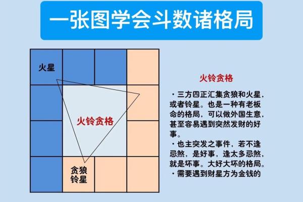 紫薇斗数主要看哪里