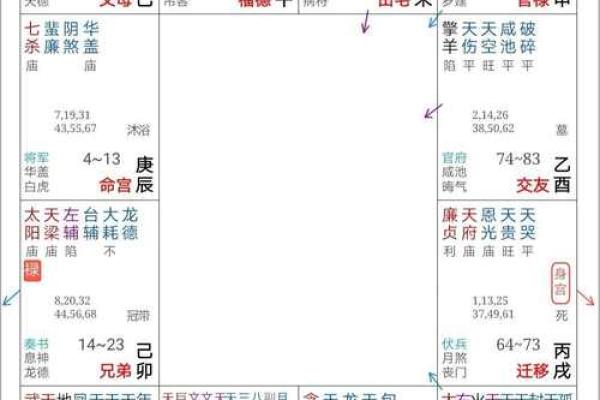 紫薇斗数哪个版本好看