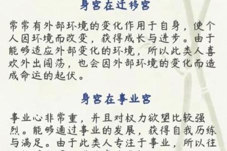 日月并命格,紫微斗数十大贵命命格