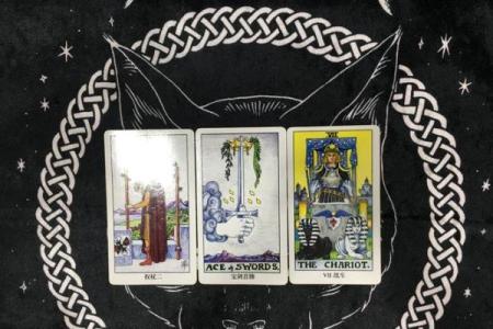 塔罗牌测试，单身贵族的八月桃花运