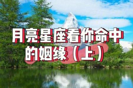 运势可以看月亮星座吗