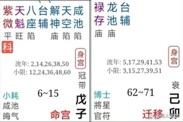 紫薇斗数身宫在哪