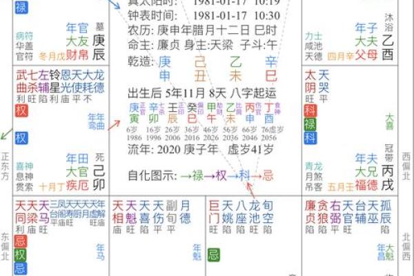 紫薇斗数案例解析