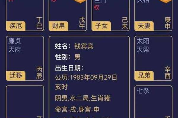 紫薇斗数案例解析