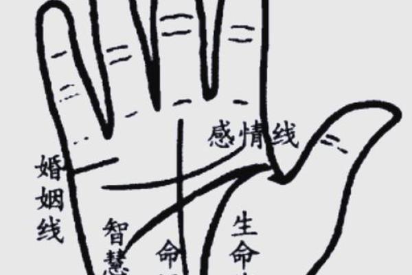 怎么看手相算命？只看男左女右对吗？