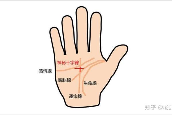 怎么看手相算命？只看男左女右对吗？