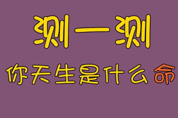 神准测试-你如何获得成功？