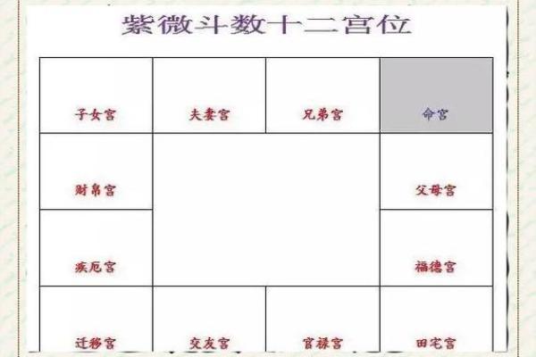 紫微斗数：天使面孔魔鬼身材之命宫特点