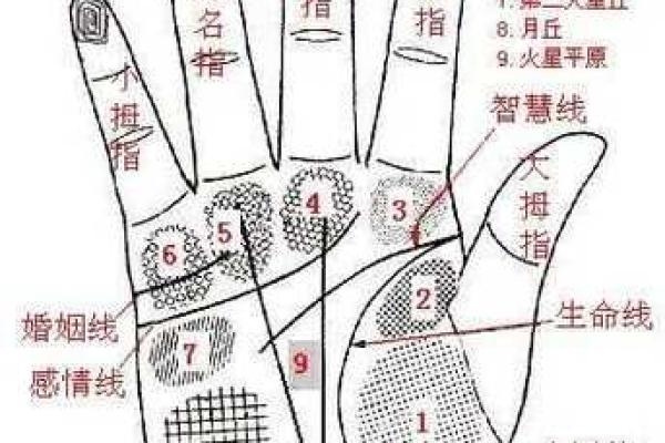 在线扫一扫测手相算命,扫一扫测手相算命免费