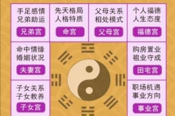 命运八字免费算命软件