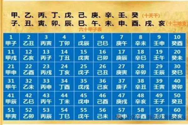 生辰八字阳日