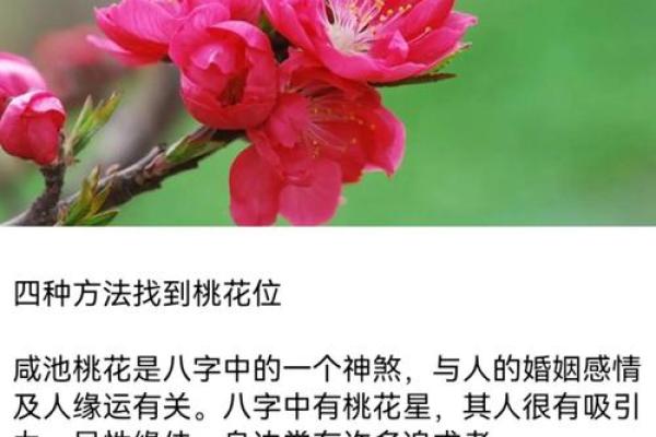 八字桃花的查法,八字各种桃花查法