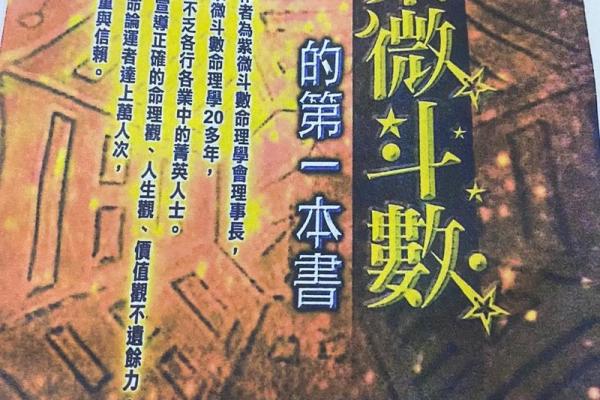 文教法律紫薇斗数