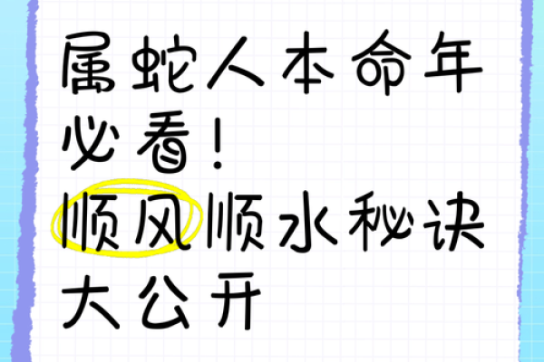 办公室属蛇风水应该如何布局 生肖蛇人赶紧看过来