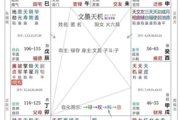 紫薇斗数性质