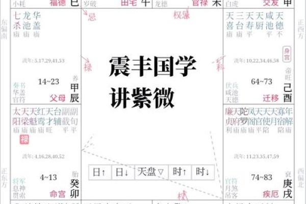 如何解读紫薇斗数