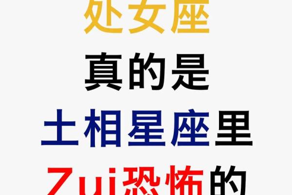 处女座适合什么星座做兄弟的