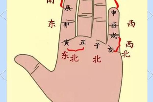 算命丁卯是什么意思  丁卯日为什么是上等命