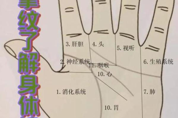 手纹算命图解【高清】