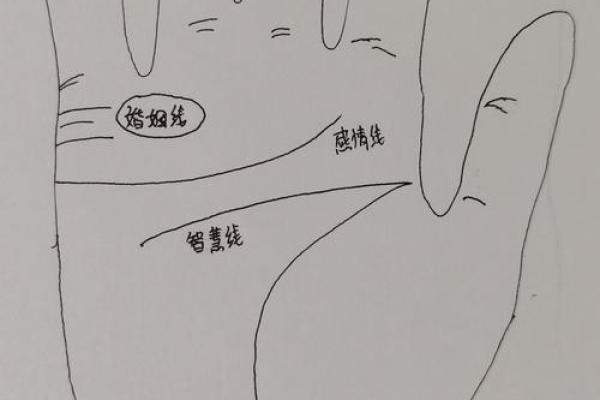 手纹算命图解【高清】