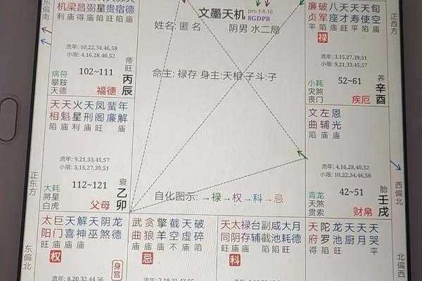 紫微斗数疾厄宫武曲化权