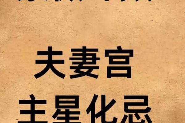 紫微斗数看学历哪个宫,不同星宿在官禄宫影响