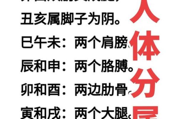八字数字算命方法,算八字最简单的方法