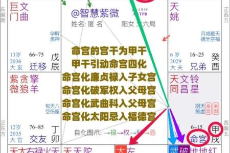 如何解读紫薇斗数