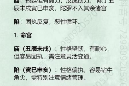 紫微斗数诸星落诸宫之：巨门星奴仆宫详解