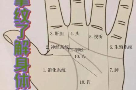 手纹算命图解【高清】