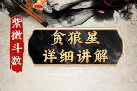 看紫薇斗数贪狼