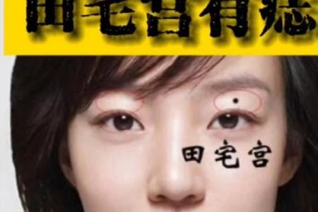 田宅宫有紫薇星七杀星