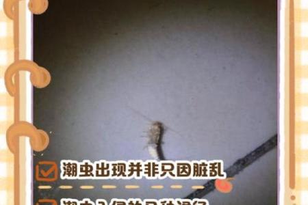 家里风水_家里突然出现多个潮虫是什么征兆